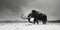 A woolly mammoth walks through the snowy lands of the Ice Age.