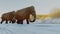 Woolly Mammoths Walking In Snowy Field Animation