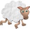 Woolly Sheep