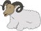 Woolly Sheep Cartoon Color Illustration