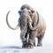 Wooly Mammoth Walking In Snow: A Stunning Environmental Portrait