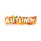 Word AUTUMN composition with green yellow red leaves on white background in paper cut style. Fall leaf realistic letters