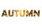 The word `AUTUMN` filled with an representative image.