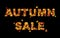 Word autumn sale made of autumn leaves isolated on black. Autumn sale banner.