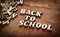 Word Back to School on wooden background