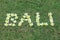 Word Bali written with tropical frangipani flowers