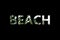 word beach with texture of green palm branches on a black background