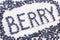 Word berry written letters with blueberries on white wooden boar