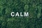 Word Calm on moss, green grass background. Top view. Copy space. Banner. Biophilia concept. Nature backdrop