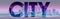 Word City on the background of night city panorama. Vector.