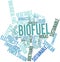 Word cloud for Biofuel