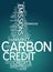 Word Cloud Carbon Credit