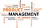 Word cloud - product management