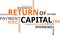 Word cloud - return of capital