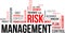 Word cloud - risk management