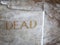 The word dead carved into marble on a sarcophagus casket inside a church