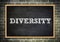 The word DIVERSITY