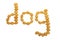 Word dog from animal feed, isolate on white background