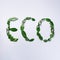 Word Eco made of green leaves on yellow background. Top view. Flat lat. Ecology, eco friendly planet and sustainable environment