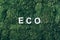 Word Eco on moss, green grass background. Top view. Copy space. Banner. Biophilia concept. Nature backdrop