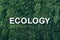 Word Ecology on moss, green grass background. Top view. Copy space. Banner. Biophilia concept. Nature backdrop