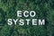 Word ecosystem on moss, green grass background. Top view. Copy space. Banner. Biophilia concept. Nature backdrop