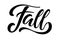 Word Fall hand written lettering on white background. Vector calligraphy illustration. Fall, autumn and Thanksgiving