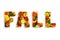 Word "FALL" made with colorful hawthorn, maple, alder, oak fall leaves, physalis lanterns