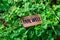 The word farewell wooden tag