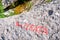 The word ferata - via ferrata misspelled - written in red on a rock in Cikola canyon, Croatia