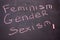 The word gender, feminism, sexism is written chalk