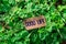 The word good life wooden tag