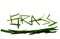 Word grass written with green grass