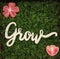 The word grow on a green grass background