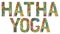 Word HATHA YOGA. Vector decorative zentangle object