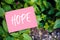 The word hope written on pink paper