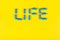 The word `Life` of tablets. Blue pills. Word life from tablets. Top view. Copy space. Pharmaceutical industry.