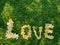 Word Love made from flowers of plumeria lying on green grass background in sunny day. Horizontal, top view