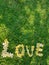 Word Love made from flowers of plumeria lying on green grass background in sunny day. Vertical, top view