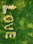 Word Love made from flowers of plumeria lying on green grass background in sunny day. Vertical, top view