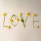 Word Love made of yellow flowers branches on gray background. Valentine`s Day, mother women day, romantic concept. Flat lay, top