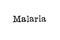 The word `Malaria` from a typewriter on white