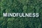 Word Mindfulness on moss, green grass background. Top view. Copy space. Banner. Biophilia concept. Nature backdrop