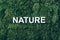 Word Nature on moss, green grass background. Top view. Copy space. Banner. Biophilia concept. Nature backdrop