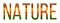 Word nature written with leaves white isolated background, banner for printing, creative illustration of colored leaves.