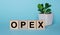 The word OPEX Operational Expenditures is written on wooden cubes near a flower in a pot on a light blue background