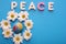 Word PEACE made by letters near little figure of a globe surrounded by flowers of white chrysanthemums. Copy space