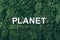 Word Planet on moss, green grass background. Top view. Copy space. Banner. Biophilia concept. Nature backdrop