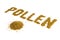 The word pollen laid with yellow pollen grain on white background with diagonal perspective