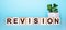 The word REVISION is written on wooden cubes near a flower in a pot on a light blue background